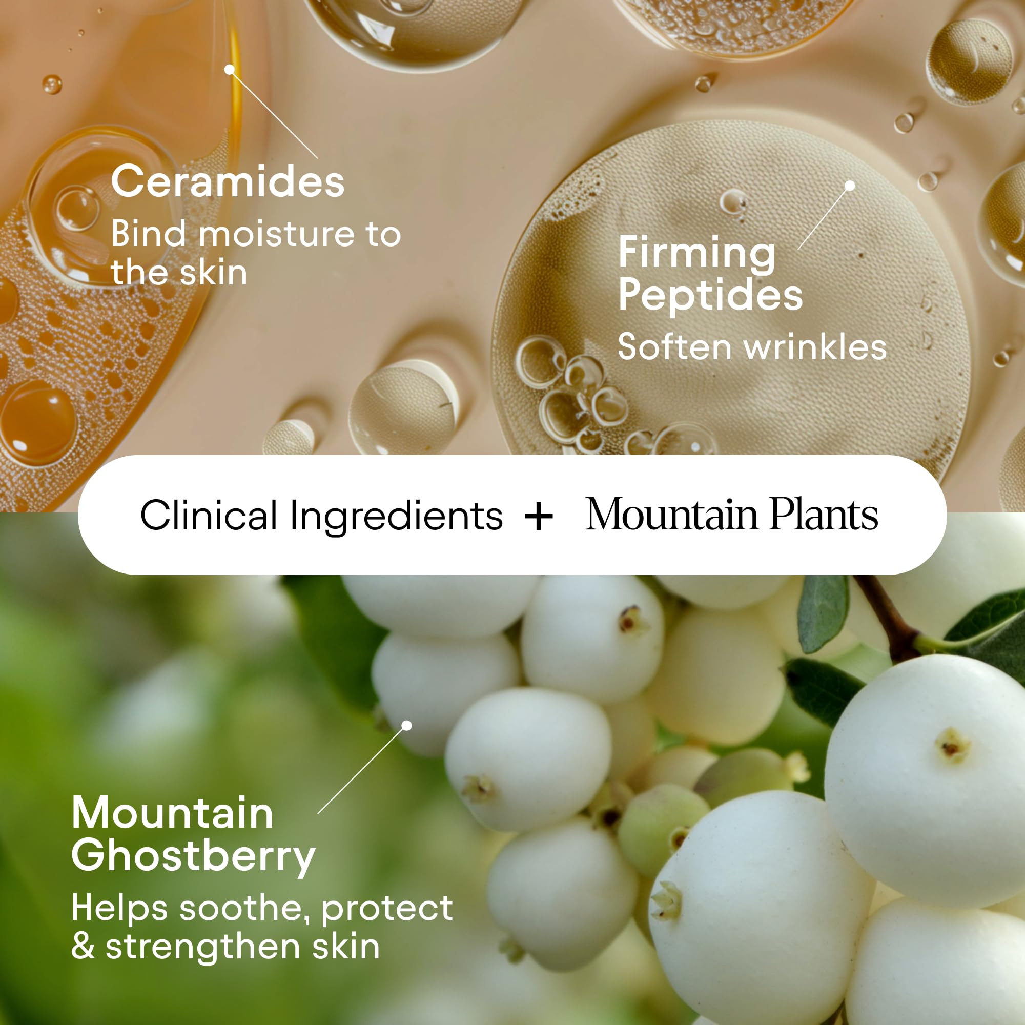 Alpyn peptide complex illustration showing anti-wrinkle potential.