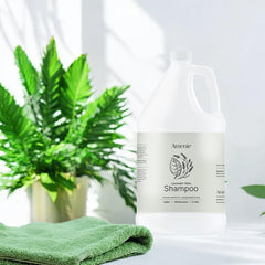 Amenie Lavender Mint Shampoo dispenser-ready setup, ideal for hotels.