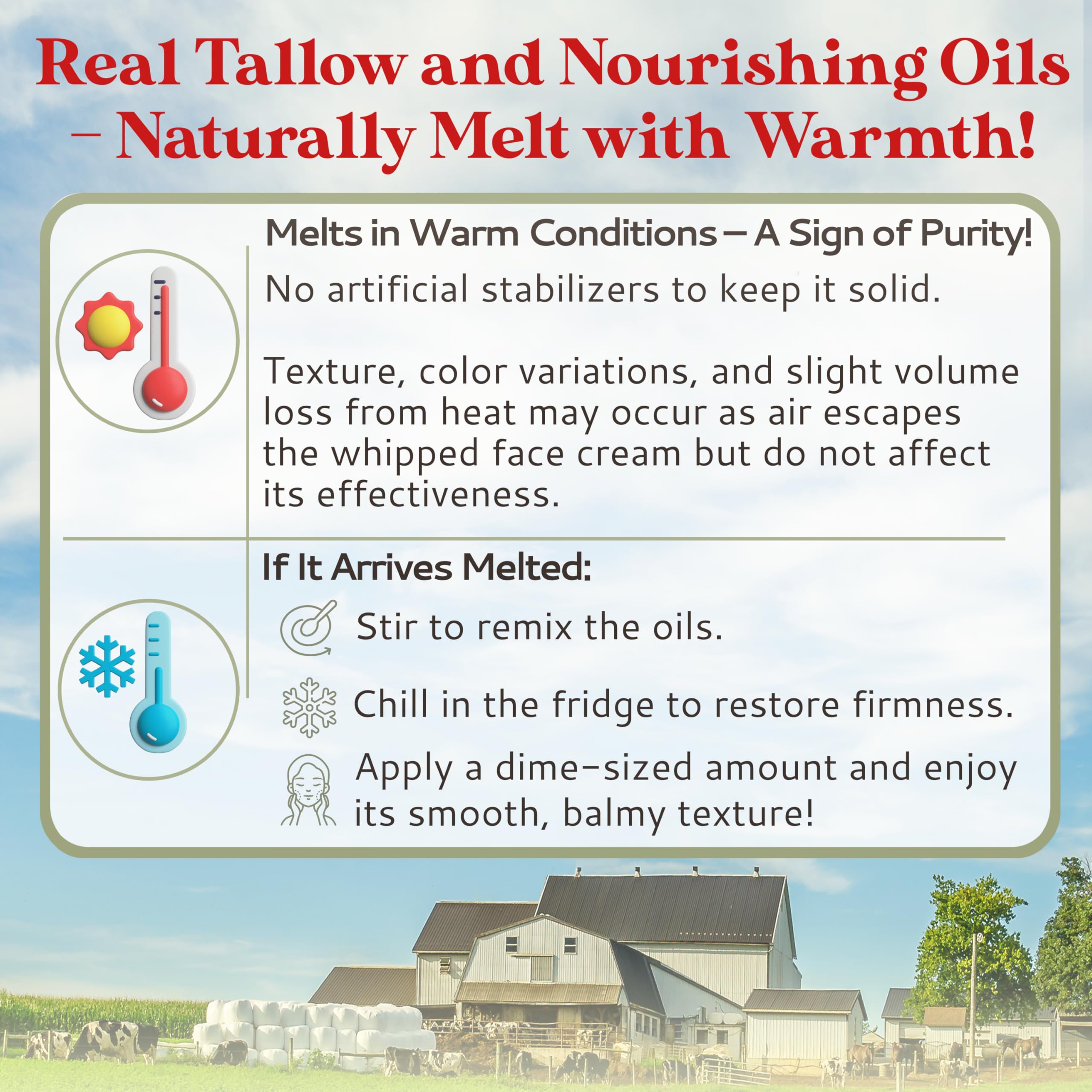 Amish Farms Tallow Face Cream application for daily skincare routine.
