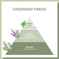 White leaf green tea imagery on packaging representing amino acid-rich nourishment.