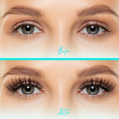 AMZGIRL LASH full kit layout with clusters, applicator, bond illustrating everything included