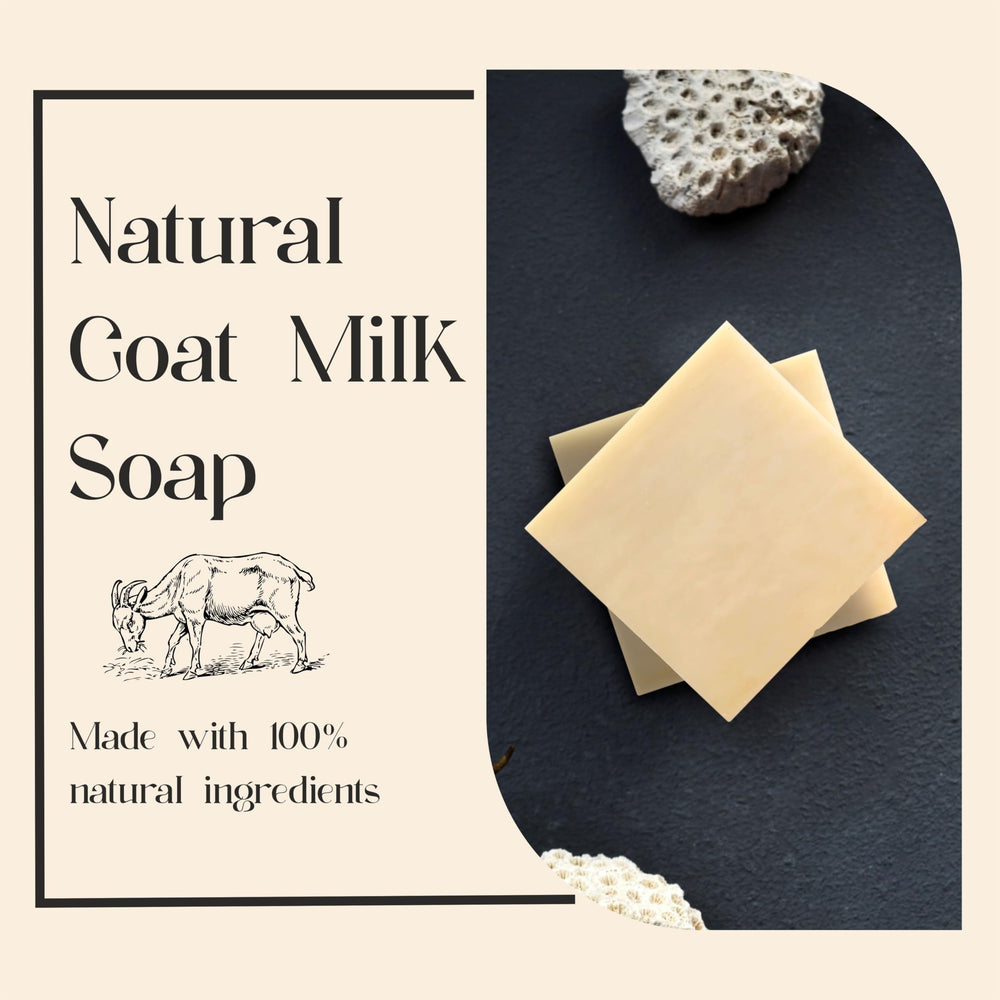 AnatoliaDaphne goat milk soap bars wrapped, convenient 12-pack value.