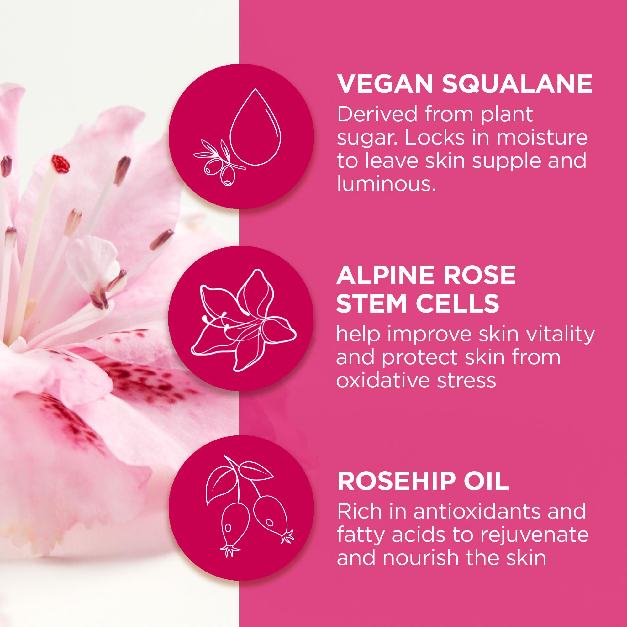 Alpine Rose Stem Cells science visual from Andalou Naturals