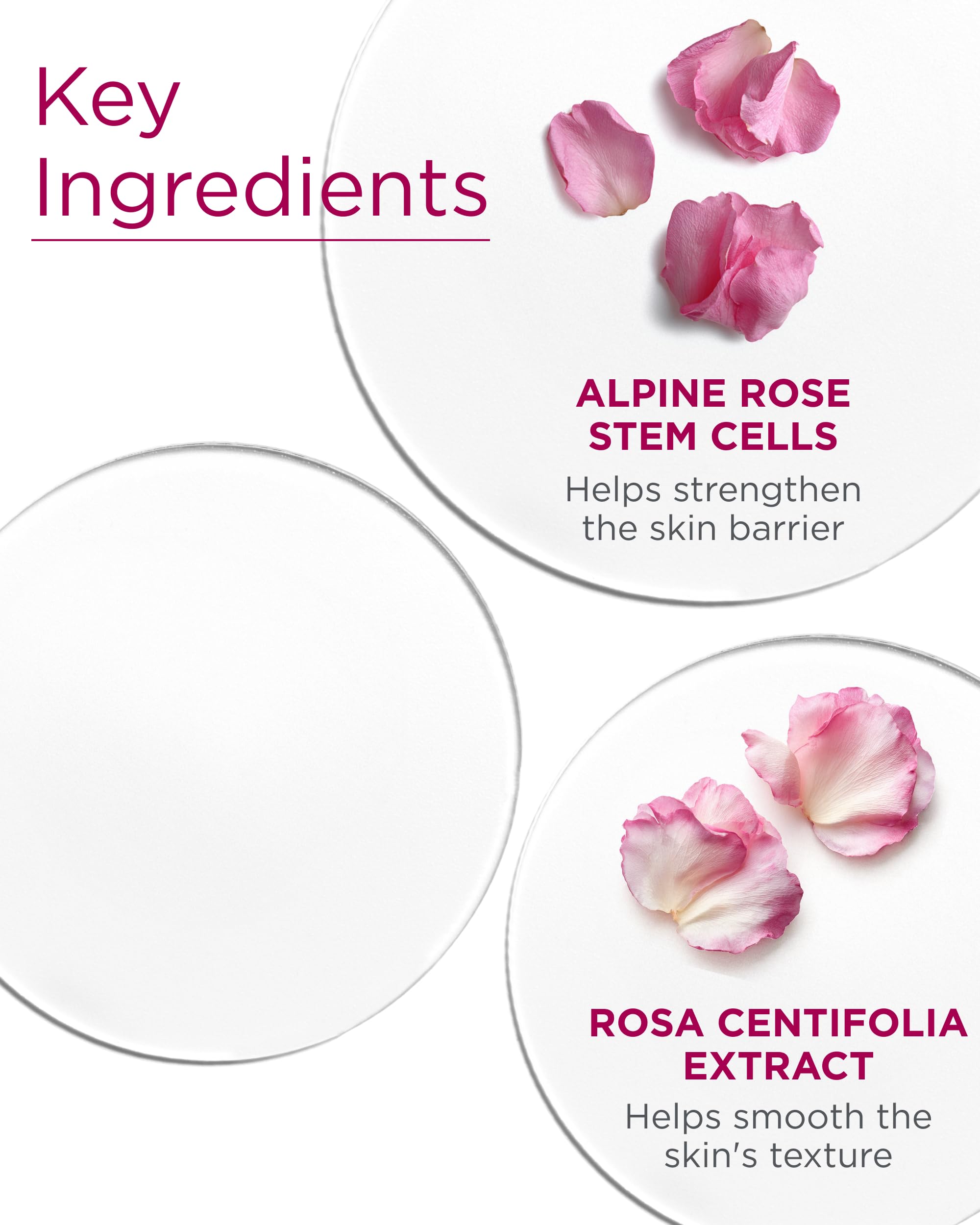 Andalou Naturals fruit stem cell science illustration emphasizes gentle renewal