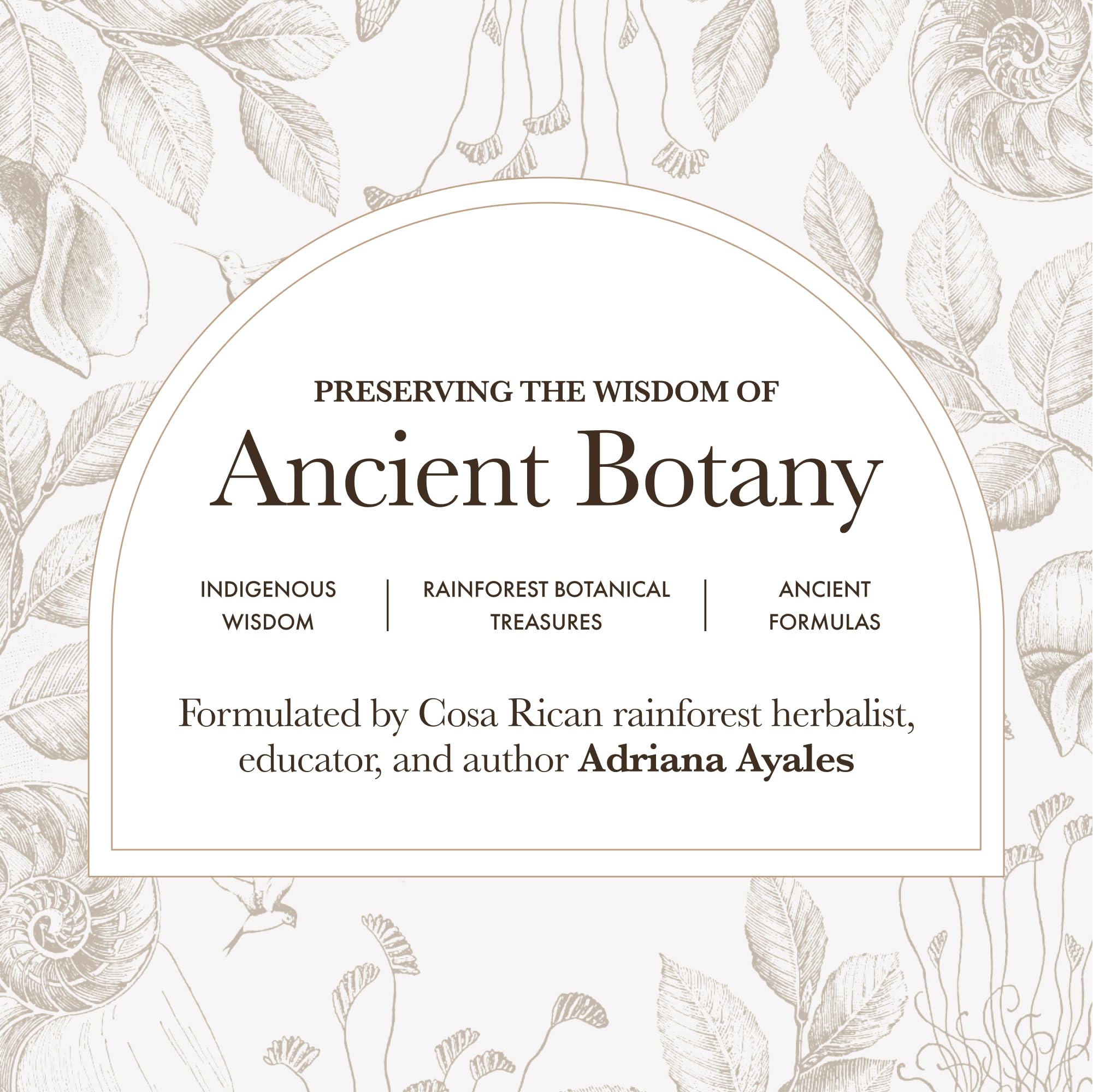 Anima Mundi rose-scented body oil displayed with natural packaging.