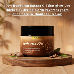 Scalp massage with Batana oil paste supports conditioning.
