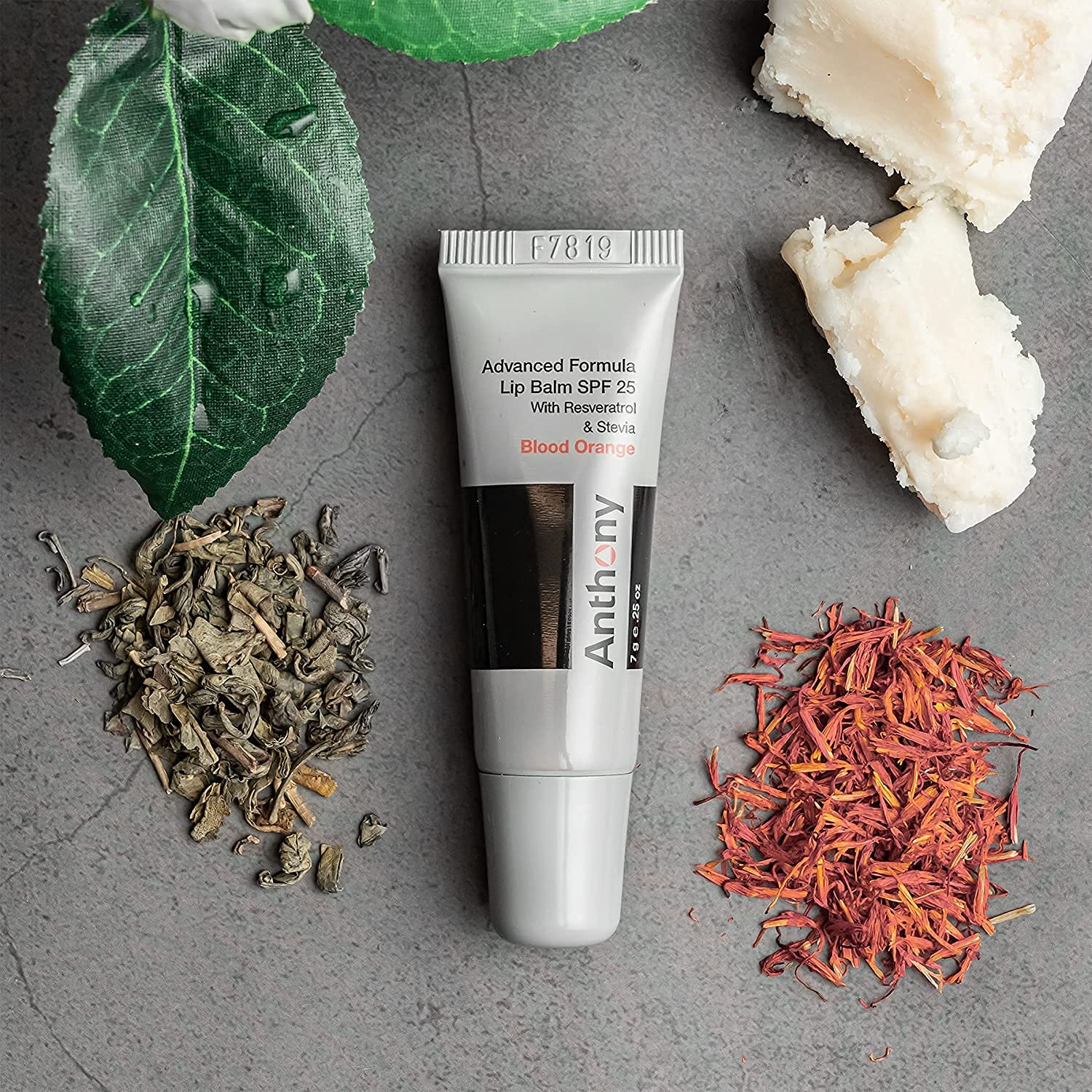 Anthony lip balm texture highlighting shea butter and avocado oil hydration