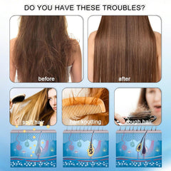 Camellia oleifera seed oil and menthol visual for scalp nourishment
