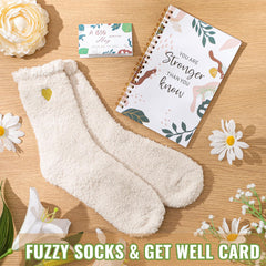 APRBOX crochet succulent adds cheerful decor and soft texture.