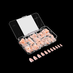 APRÉS Neutrals Gel-X Chloe natural almond medium tips for natural look