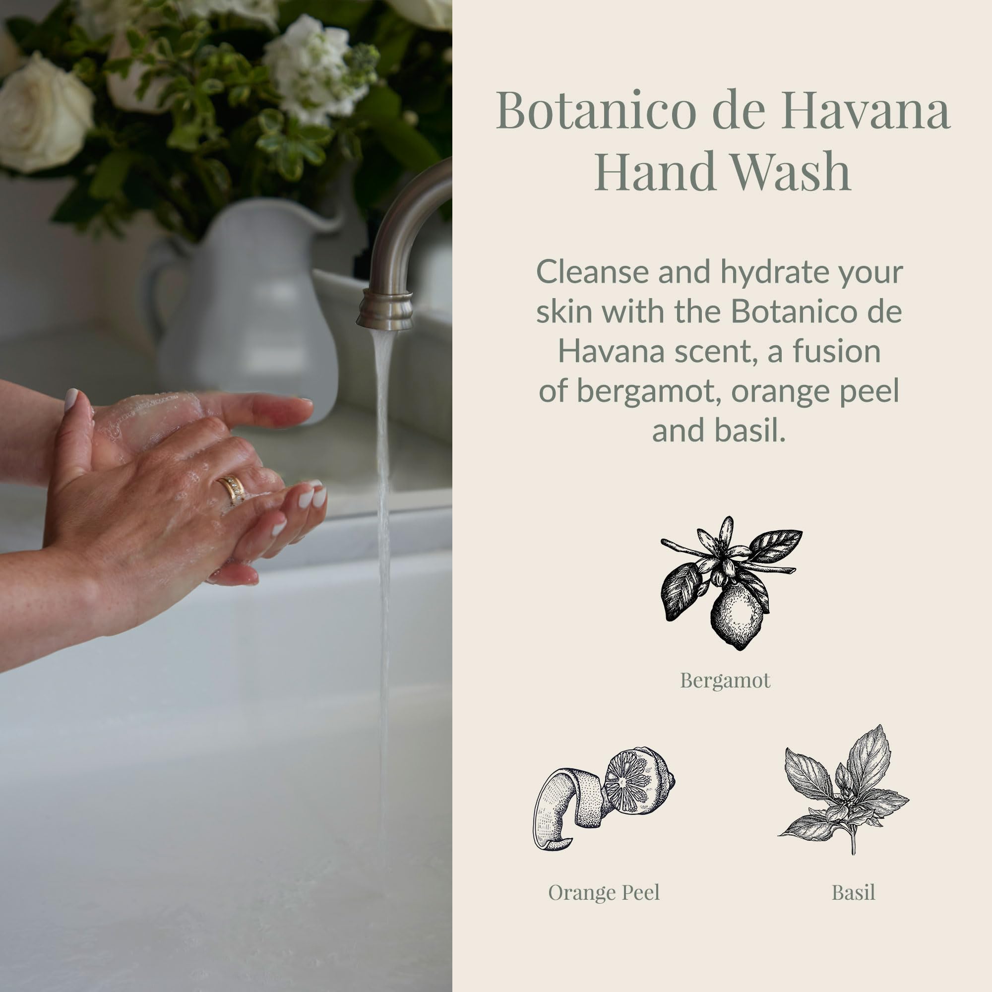 Archipelago Botanicals Botanico de Havana foaming lather delivering a rich clean and hydration