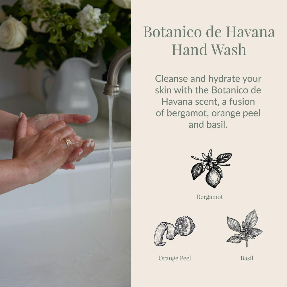 Archipelago Botanicals Botanico de Havana foaming lather delivering a rich clean and hydration