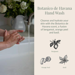 Archipelago Botanicals Botanico de Havana foaming lather delivering a rich clean and hydration