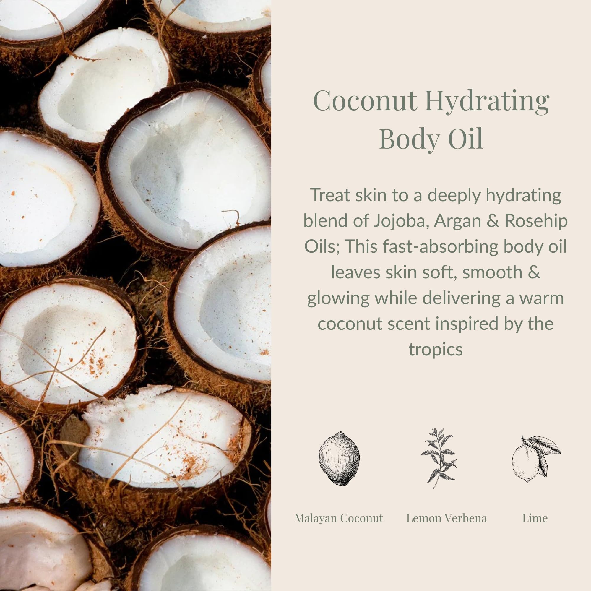 Close-up of Archipelago Botanicals Coconut Hydrating Body Oil label highlighting coconut-based moisture benefits.
