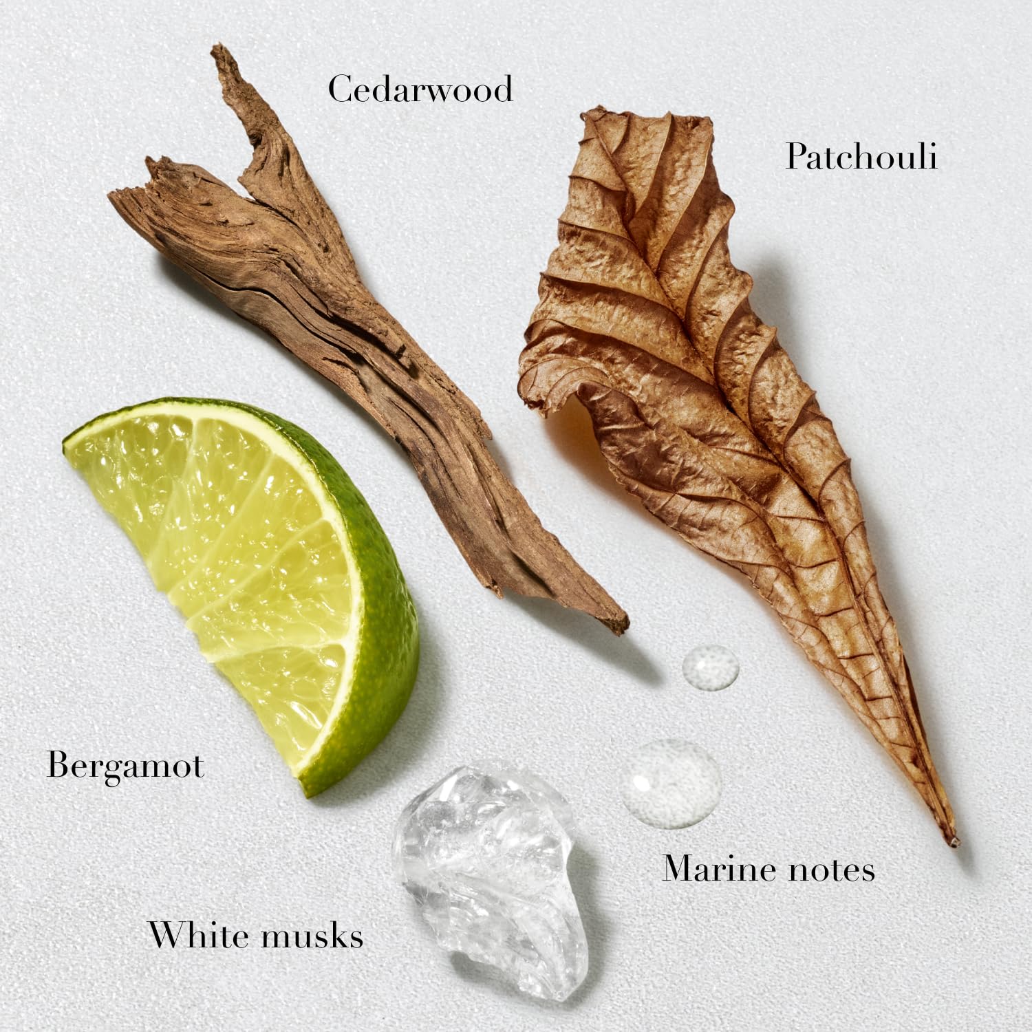 Armani Beauty Acqua di Gio balm bottle close-up highlighting bergamot and jasmine notes.