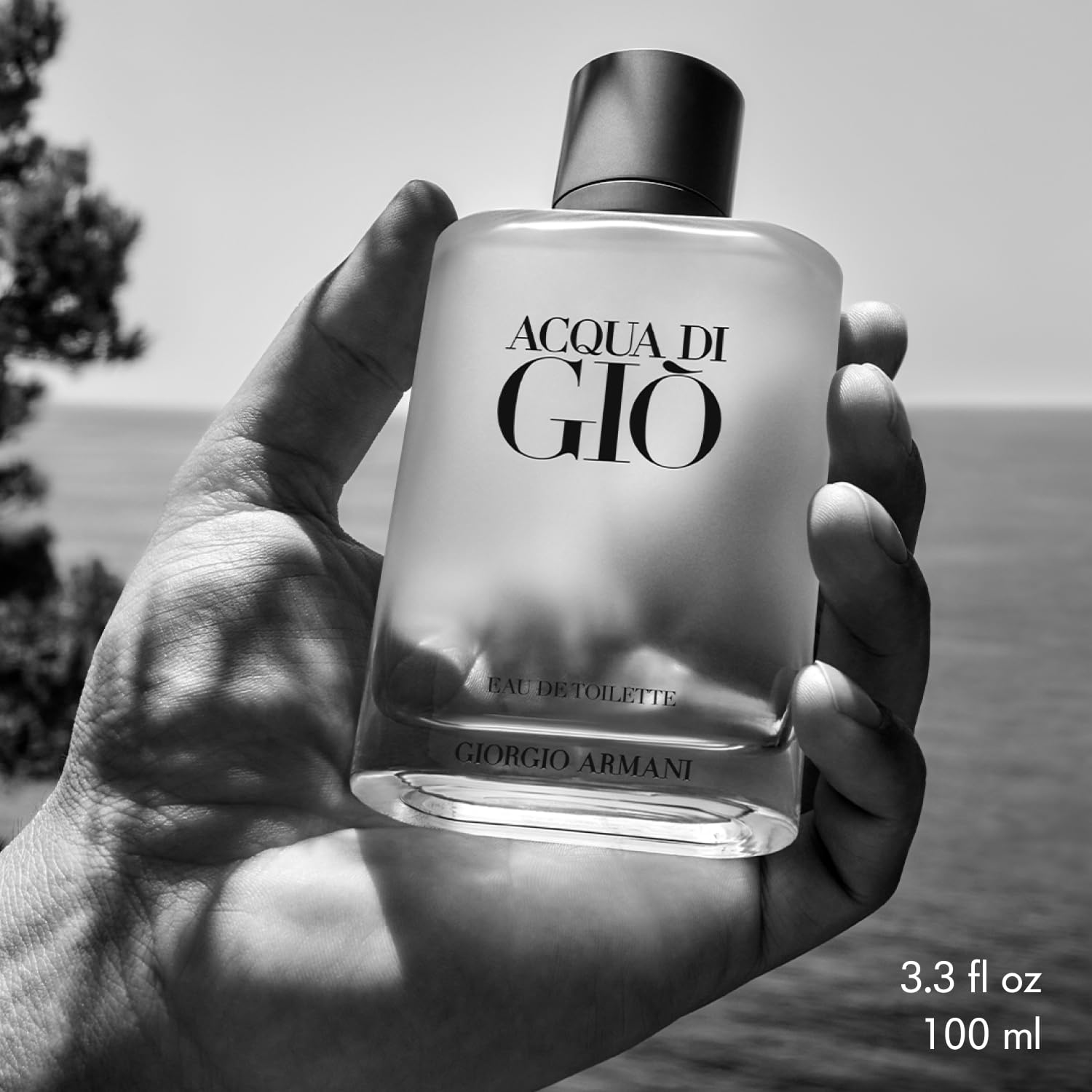 Armani Beauty Acqua di Gio cedarwood base detail showcases warm depth