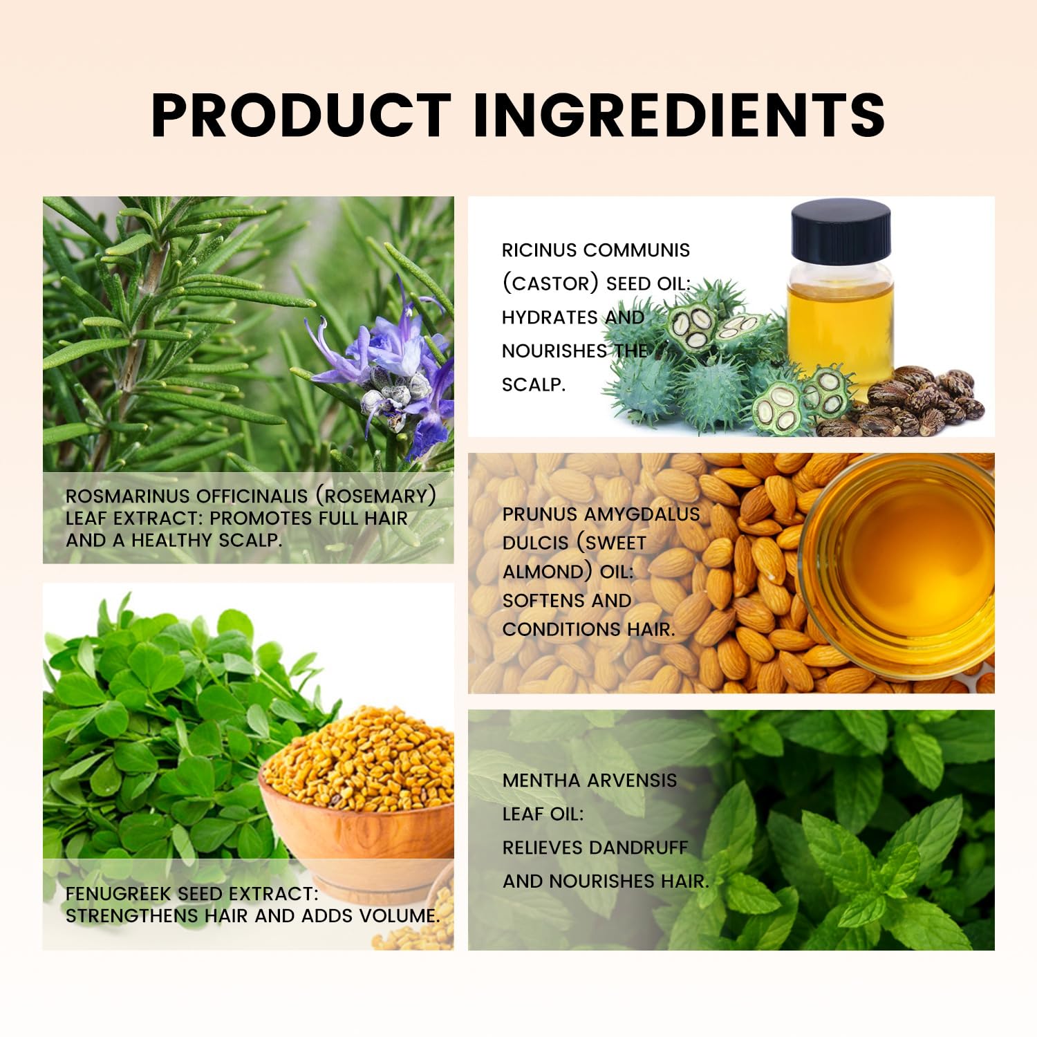 ARSYCHLL Minnah Hair Growth Oil rosemary ingredient close-up.