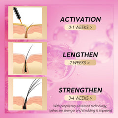 Gold box packaging conveys premium lash care with a comforting daily routine.