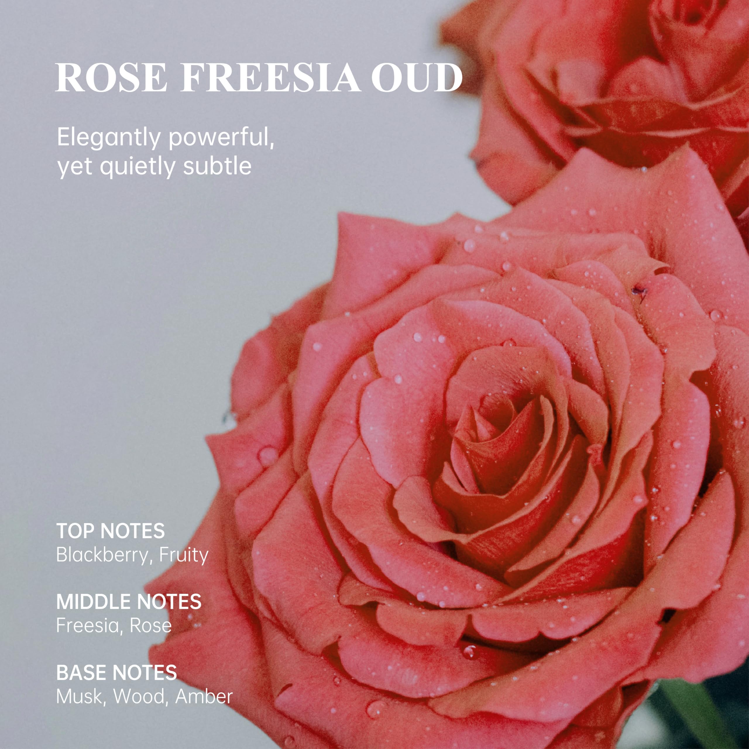 Atom Fresh Hand Cream Rose Freesia Oud highlights ceramides and niacinamide for barrier support.