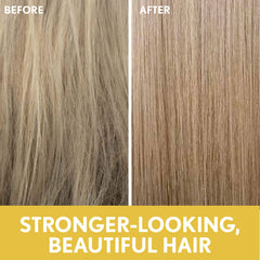 Close-up of oats and sunflower oil highlights natural ingredients.