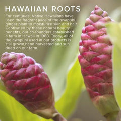 Awapuhi Wild Ginger fragrance with tropical ginger-green tea mango scent