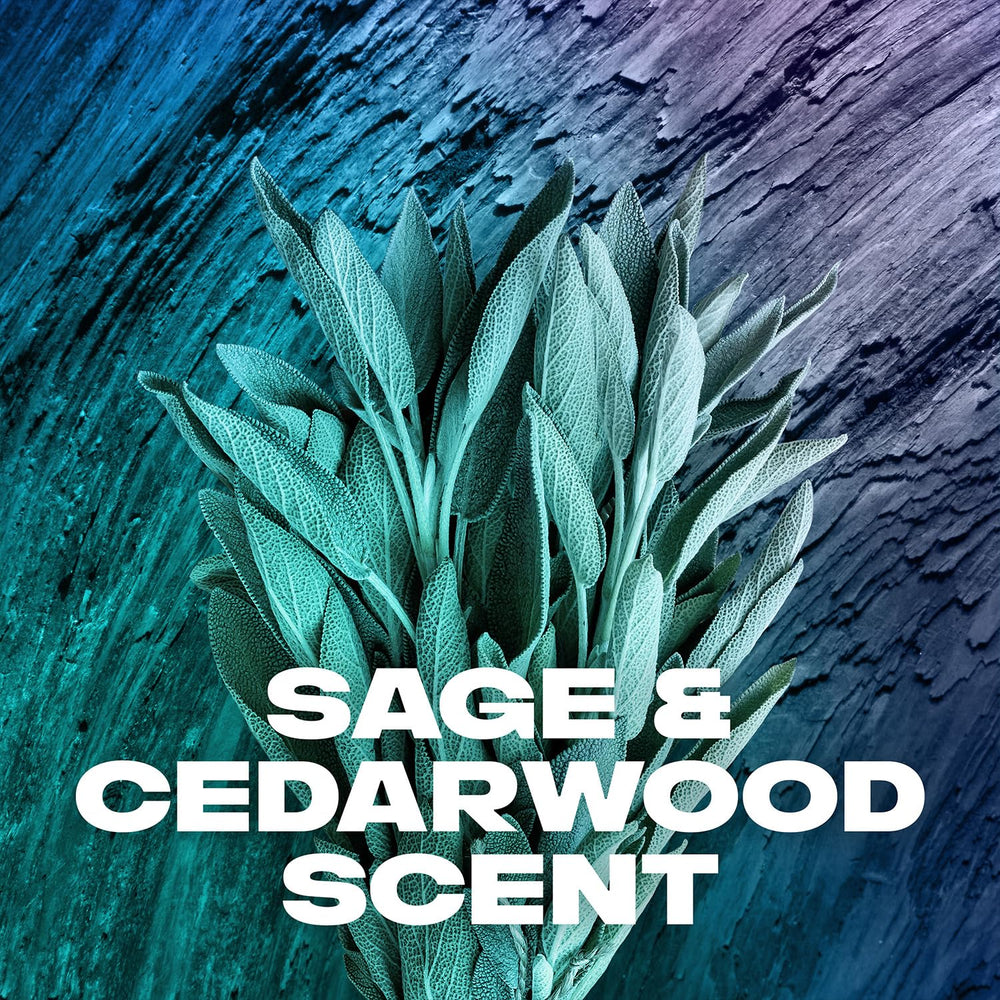 Sage and cedarwood scent notes close-up on AXE Apollo for a bold fragrance