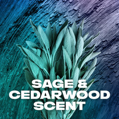 Sage and cedarwood scent notes close-up on AXE Apollo for a bold fragrance