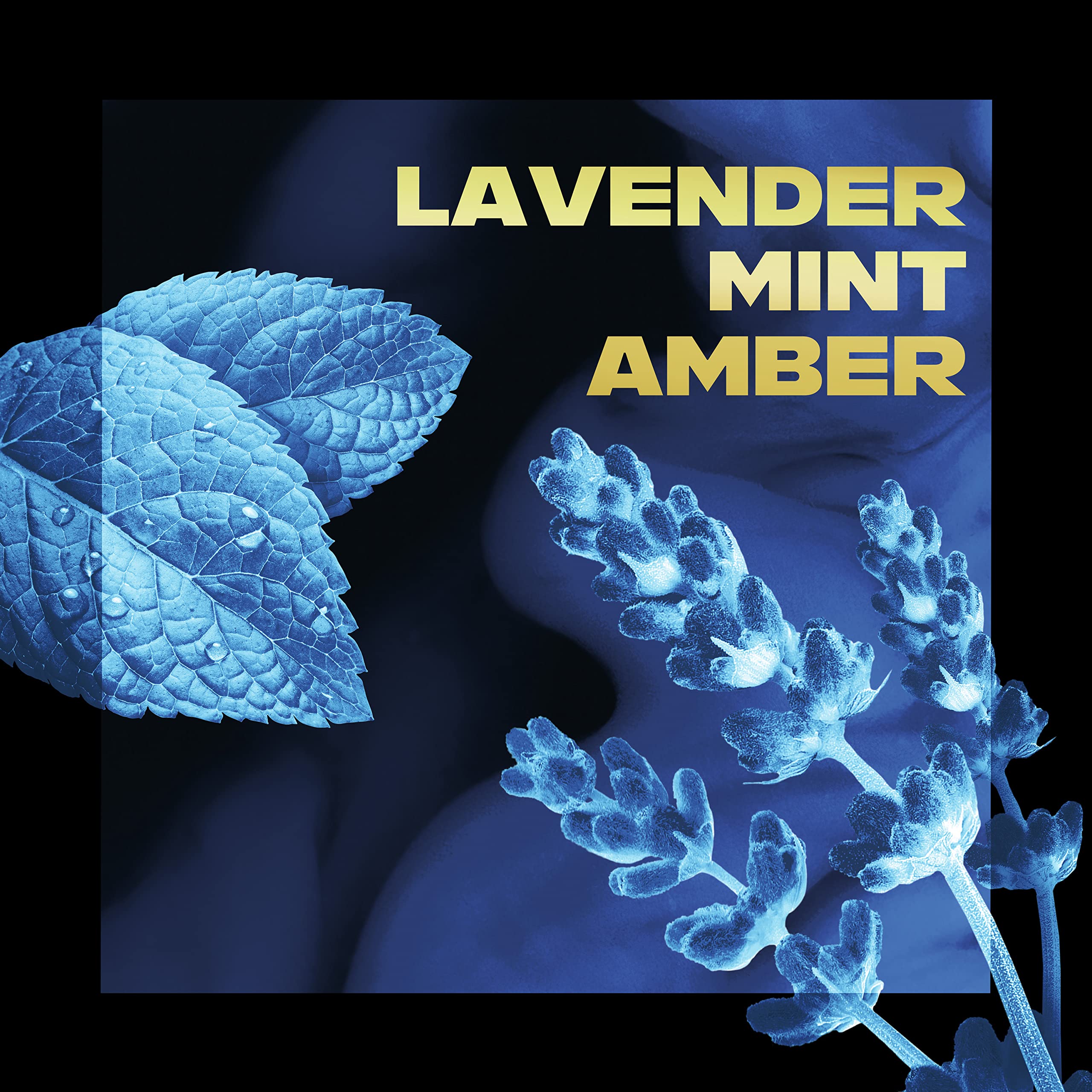 AXE Blue Lavender label close-up emphasizing essential oil blend.