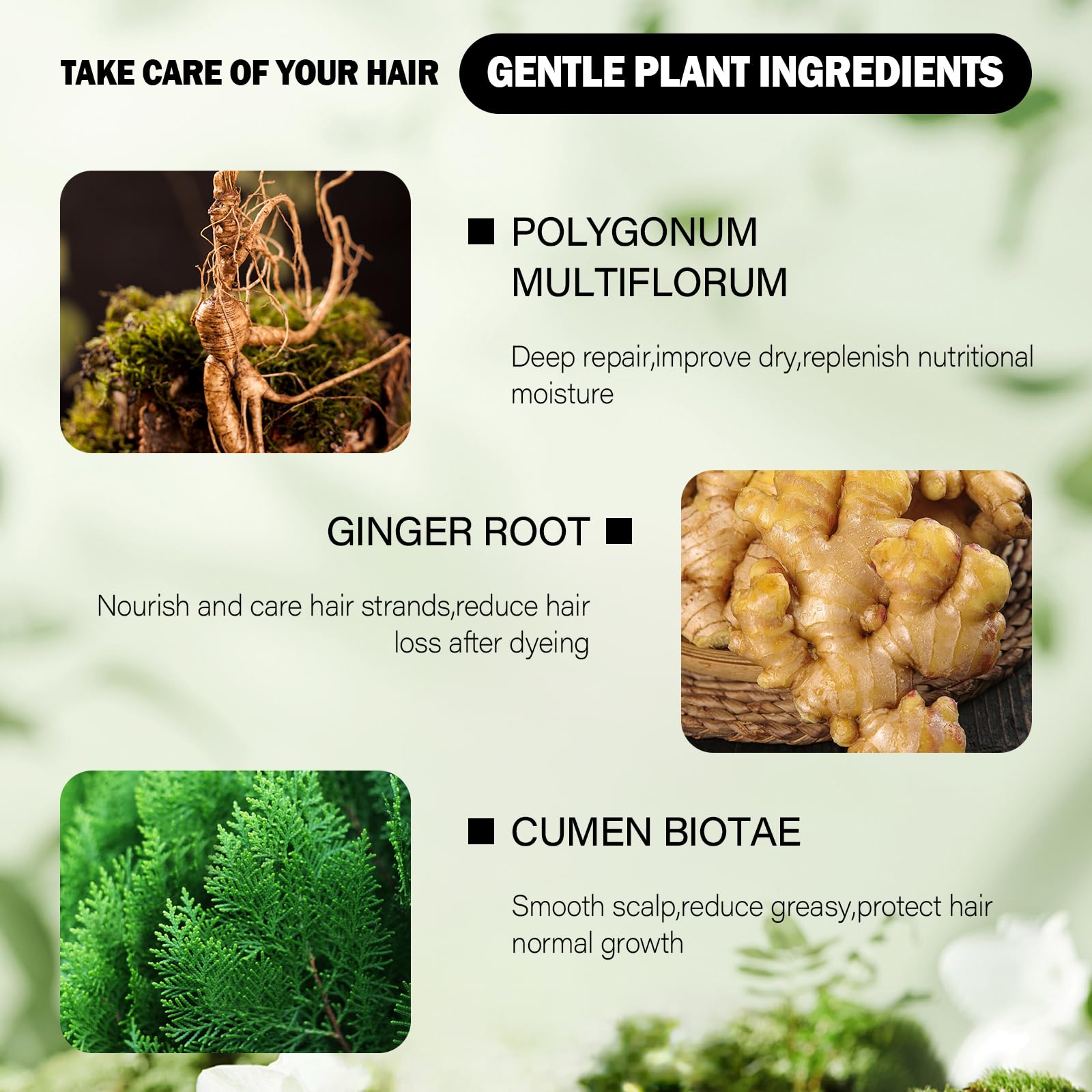 Azonbey natural ingredients formula supports gentler color with no harsh chemicals