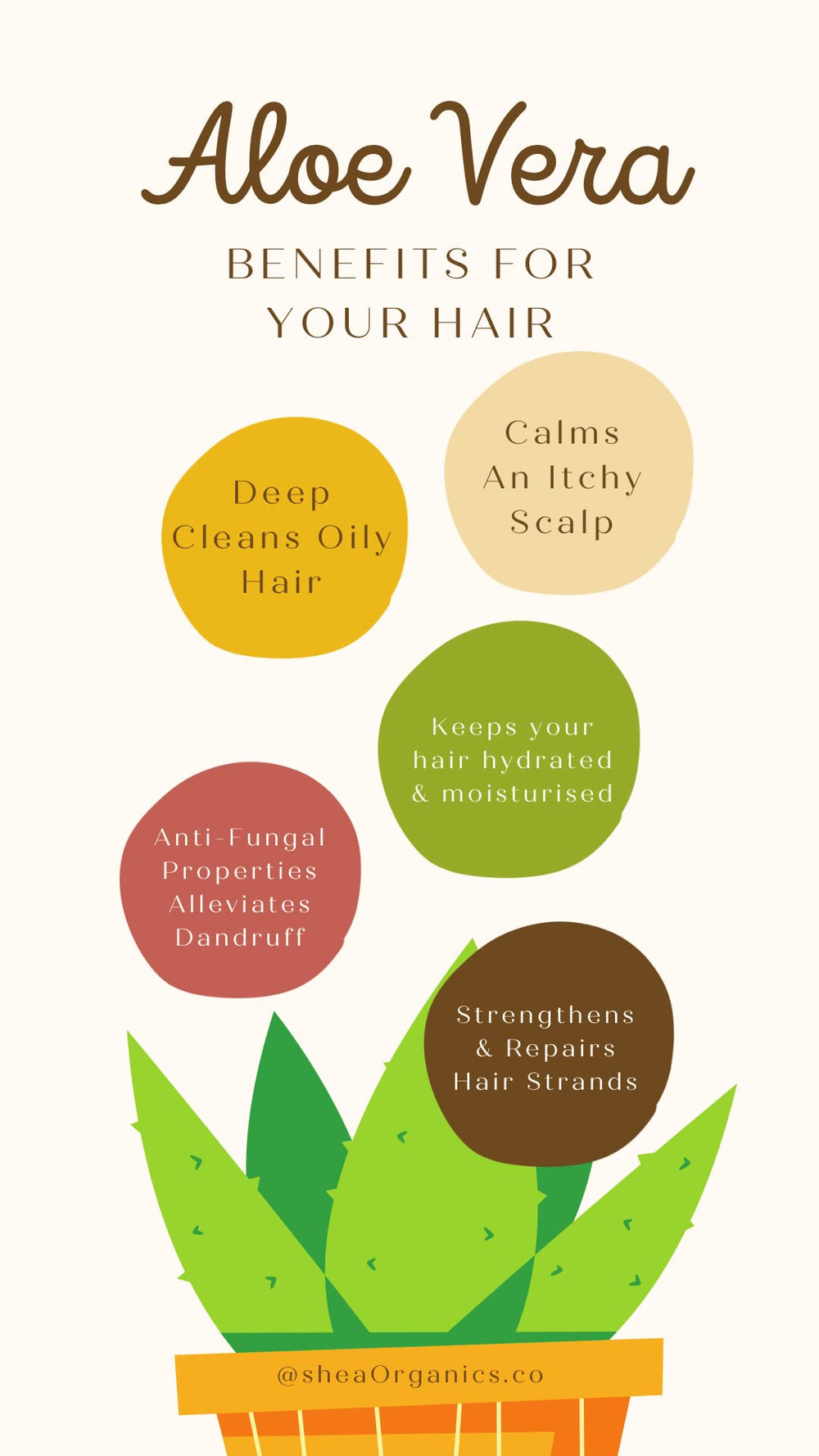 Baby Shea Organics oat oil and honey blend nourishes delicate scalps.
