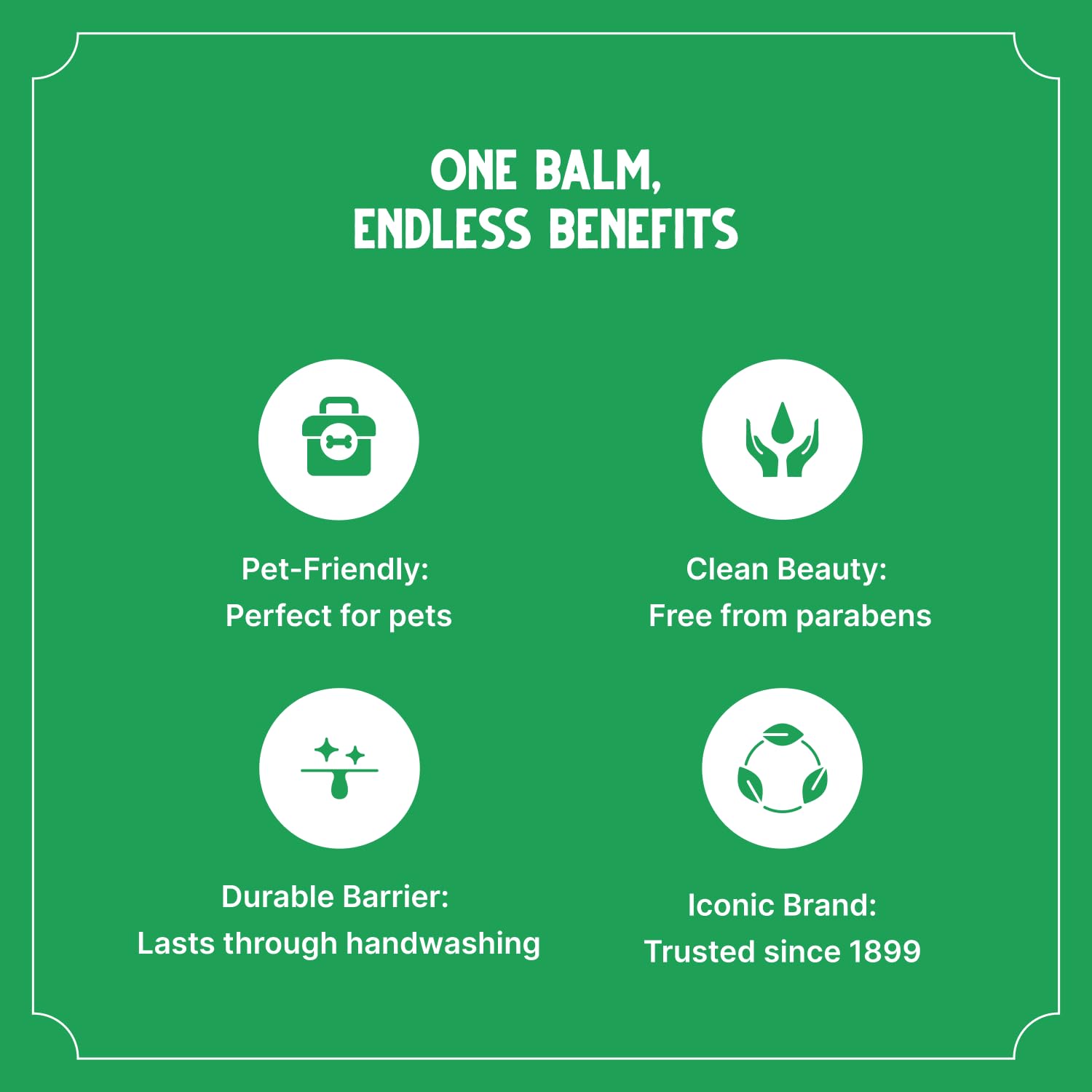 Bag Balm application on dog paw demonstrates easy-to-use salve for daily moisture