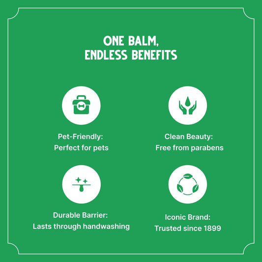 Bag Balm application on dog paw demonstrates easy-to-use salve for daily moisture