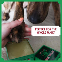 Bag Balm farm and pets scene captures everyday pet care on a rural property