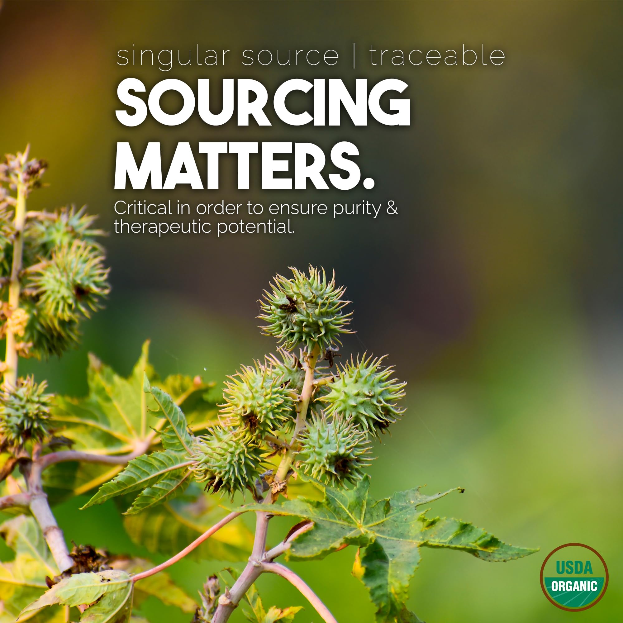 BALM OF GILEAD organic castor oil sourcing note emphasizing traceability.