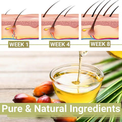 BALPPRD Lifewitqueenp herbal ingredients collage highlights botanical blend.