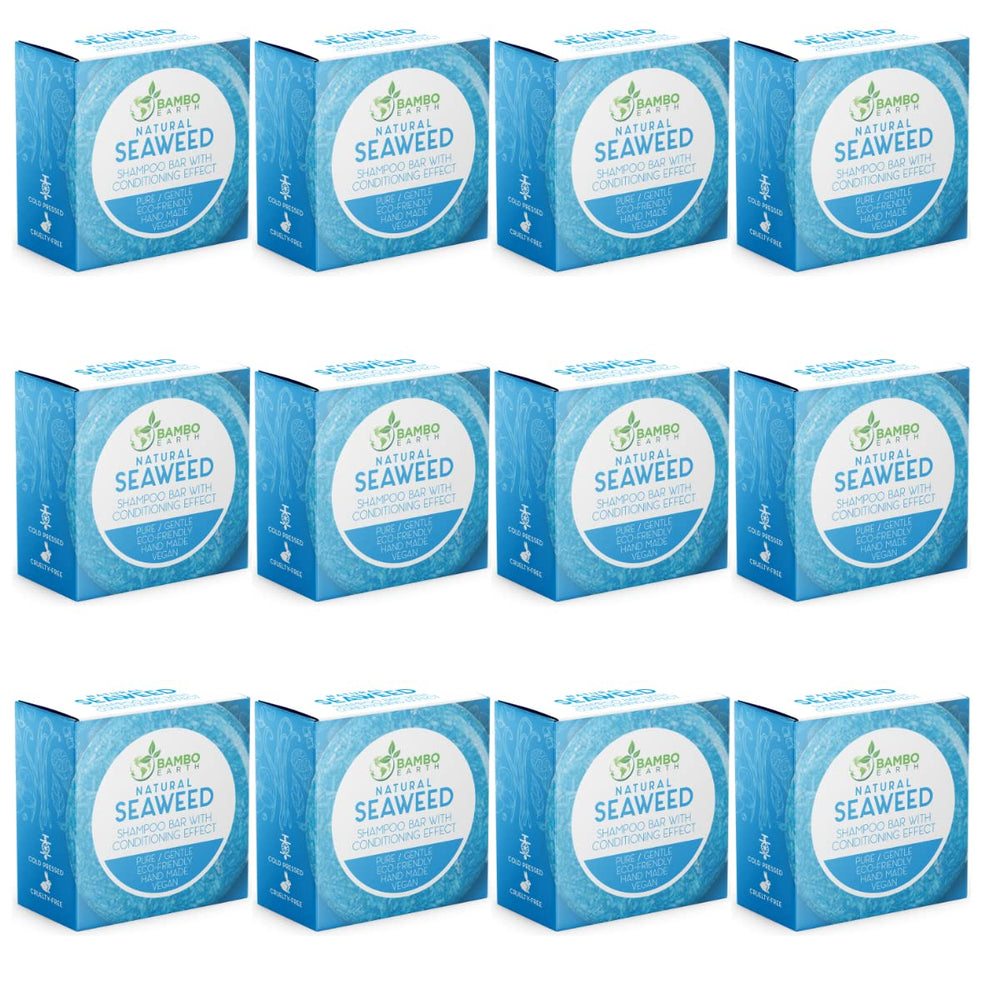 BAMBOEARTH solid shampoo bar seaweed pack with eco-friendly packaging for travel