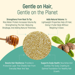 BAMBOEARTH travel-friendly shampoo bars fit in bags for journeys.