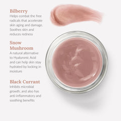 BAMBU EARTH Bilberry and Snow Mushroom Mask ingredient detail highlights bilberry.