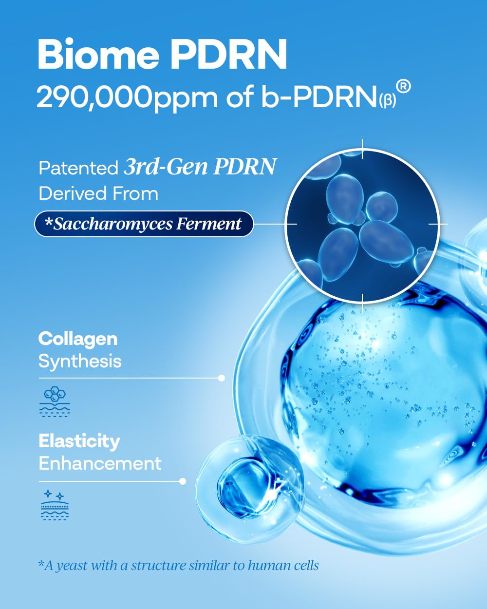 Bano PDRN 1000 Cream application on the face with even coverage.