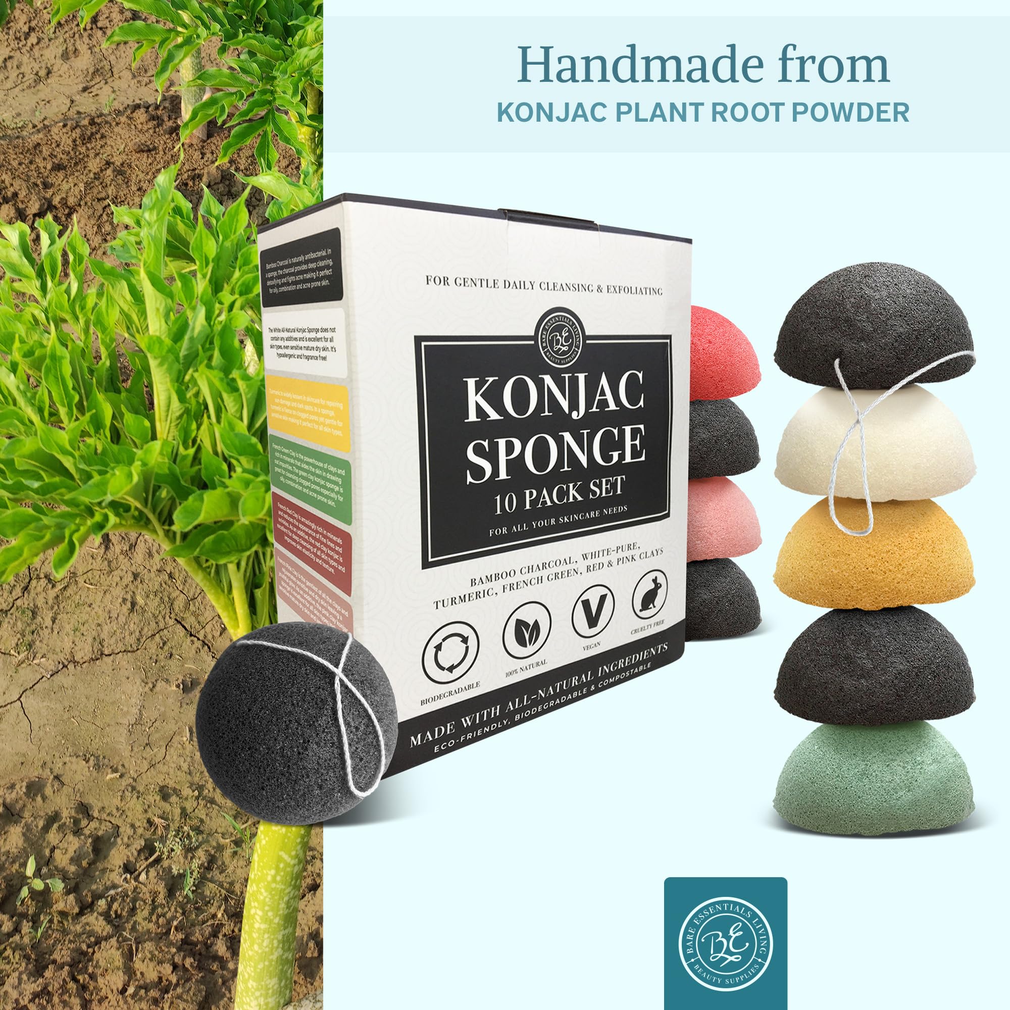 Bare Essentials Living konjac sponge hangs to dry between uses for hygiene.