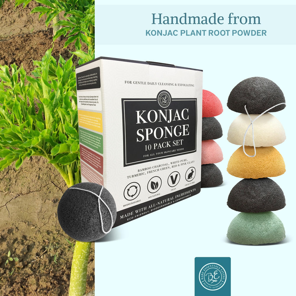 Bare Essentials Living konjac sponge hangs to dry between uses for hygiene.