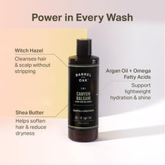 Barrel & Oak argan oil drop highlights moisturized, hydrated hair.