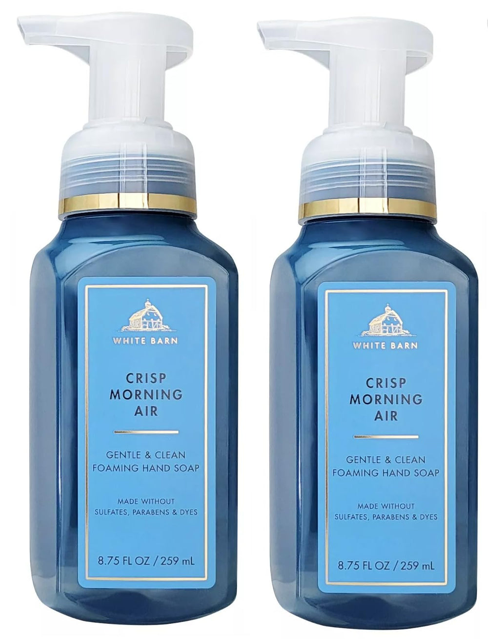 Bath and Body Works Crisp Morning Air bottle with gentle foaming hand wash.
