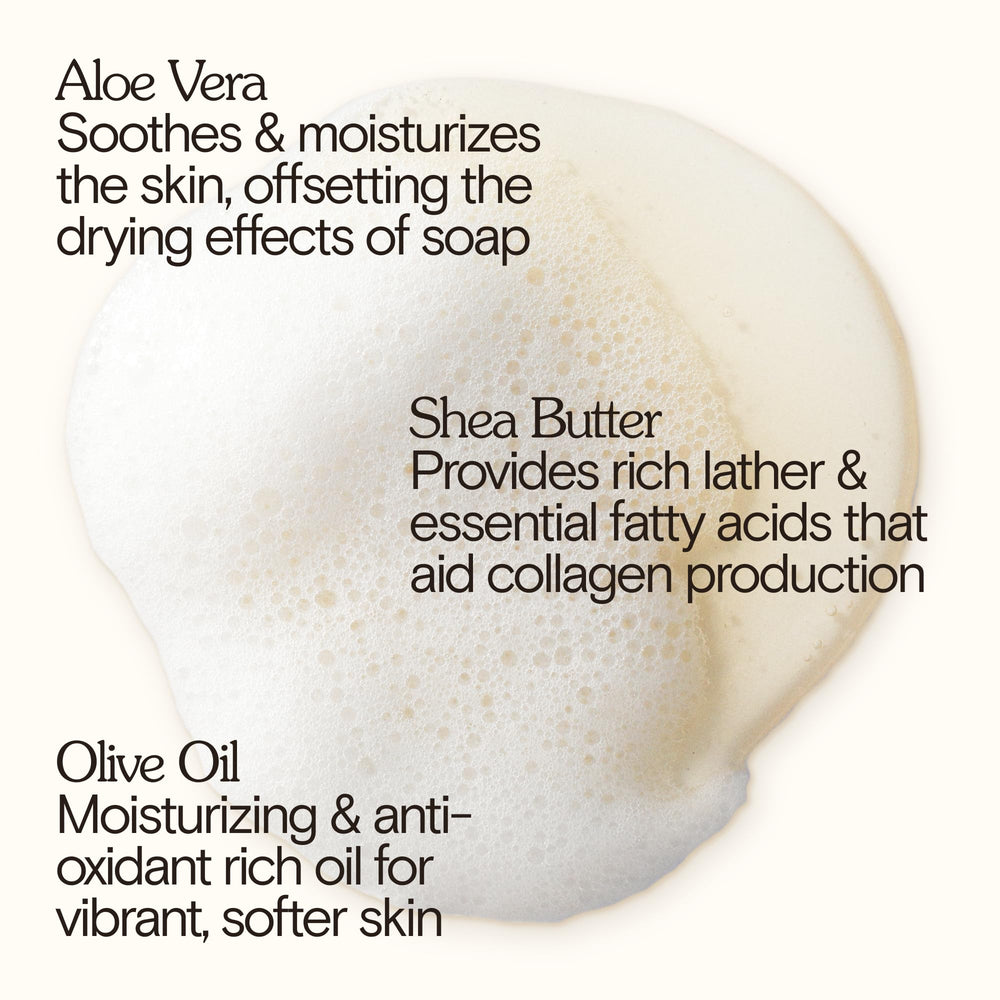 Close-up of Aloe, Shea, and Olive Oil ingredients in Meadow Vision.