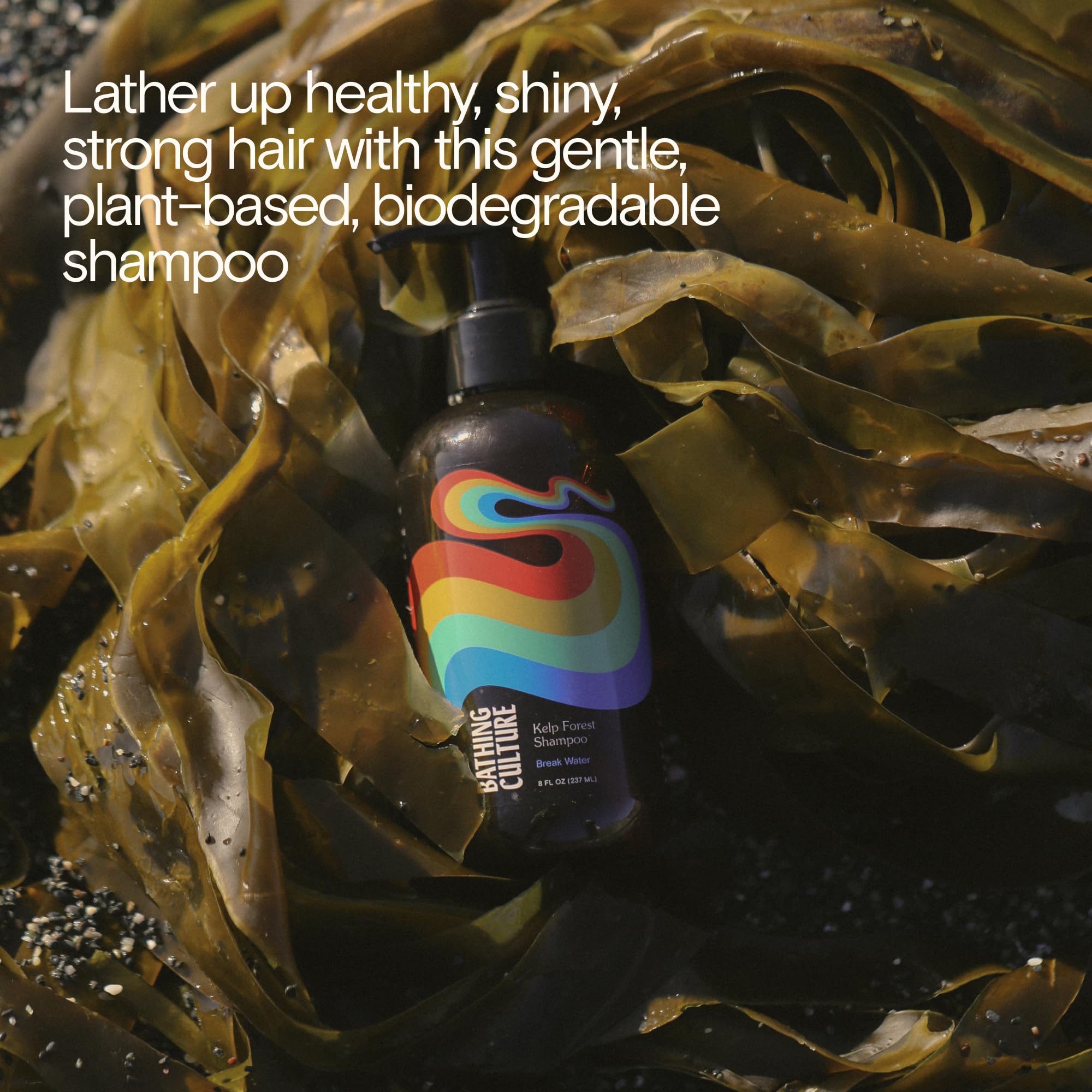 Close-up of kelp extract and amaranth seed ingredients in Bathing Culture shampoo