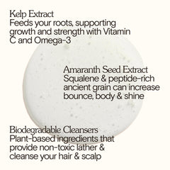 Close-up of Bathing Culture shampoo lather showing coconut-based cleansing action