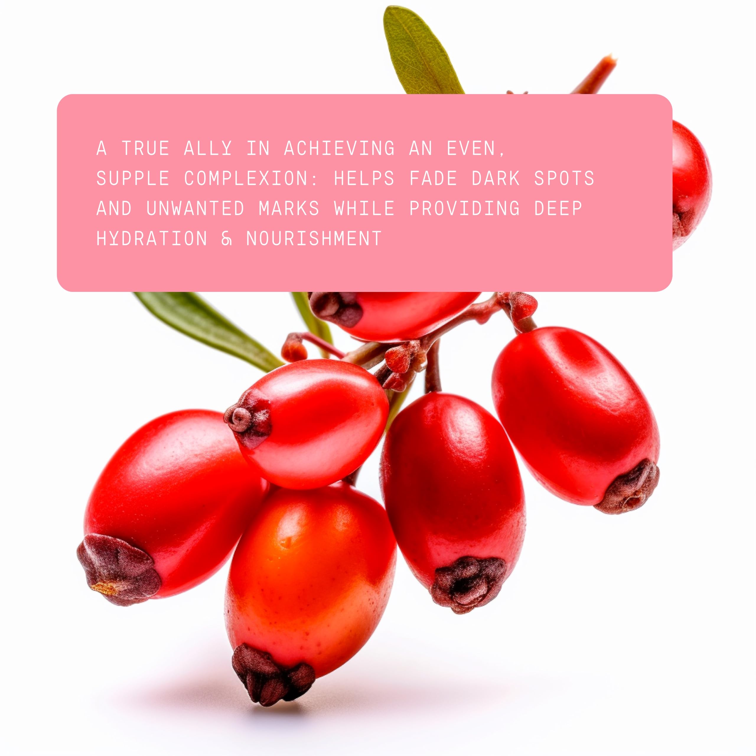 Ingredients list emphasizes purity and natural sourcing of Beauts Rosehip Seed Oil.
