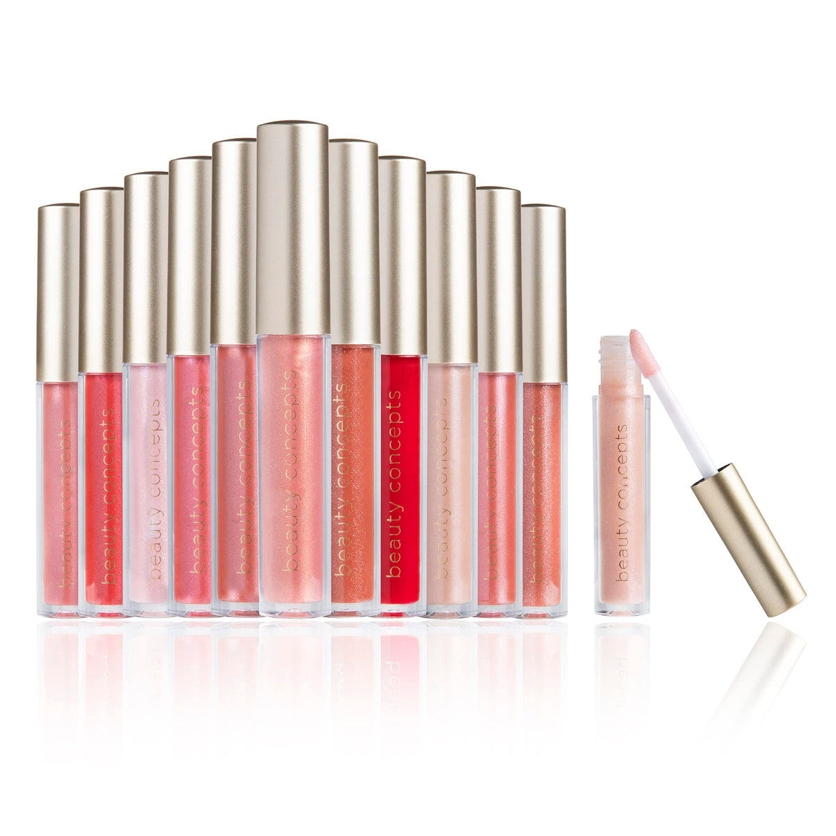Beauty Concepts Lip Gloss Set with 12 pink and red shades in a present box.