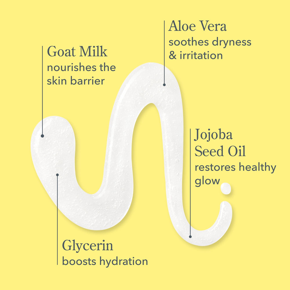 Beekman 1802 Goat Milk Hand Wash Coconut Cream pump insert for convenient daily use.