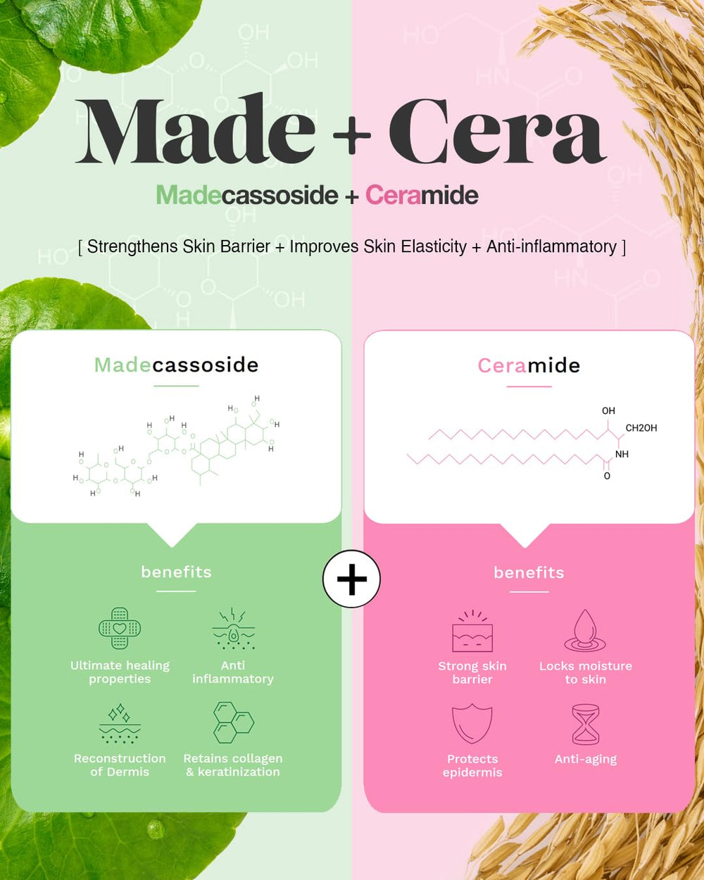 BEISIKS SKINRxLAB MadeCera ceramide and milk protein detail for skin softness.